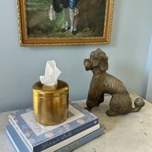 Load image into Gallery viewer, The Coco Tissue Vessel