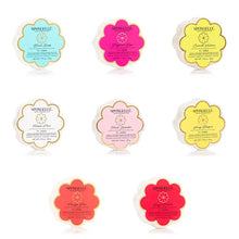 Load image into Gallery viewer, Daisy Spongette