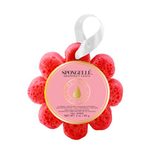 Load image into Gallery viewer, Spongelle Wildflowers
