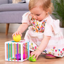 Load image into Gallery viewer, InnyBin Toy