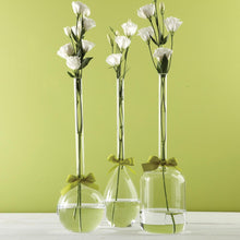 Load image into Gallery viewer, Sleek And Chic Vase Trio with Sage Green Ribbon