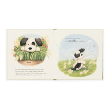 Load image into Gallery viewer, The Pick of the Sticks Book
