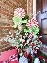 Load image into Gallery viewer, Traditional Tidings Candy Canes