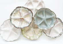 Load image into Gallery viewer, Etta B Taco Night