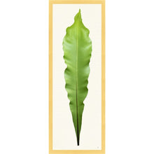 Load image into Gallery viewer, Long Leaf Tropical Prints 38x14