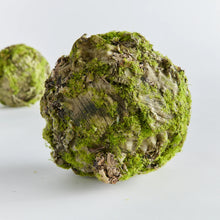 Load image into Gallery viewer, Mossy Lichen Orb 5"