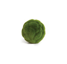 Load image into Gallery viewer, Mood Moss Orb 4
