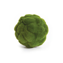 Load image into Gallery viewer, Mood Moss Orb 5.5"