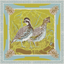 Load image into Gallery viewer, Austin Williams Silk Scarves