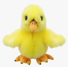 Load image into Gallery viewer, The Puppet Company Puppets