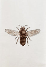 Load image into Gallery viewer, French Graffiti Tea Towels