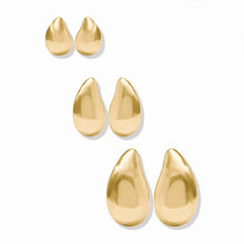 Load image into Gallery viewer, Wave Earring