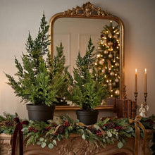 Load image into Gallery viewer, Fresh Touch Cedar Tree in Pot 29”