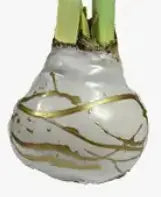 Load image into Gallery viewer, Mixed Splatter Wax Bulbs