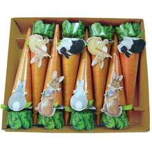 Load image into Gallery viewer, Caspari Carrot Crackers