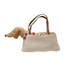 Load image into Gallery viewer, Dachshund in Dog Carrier