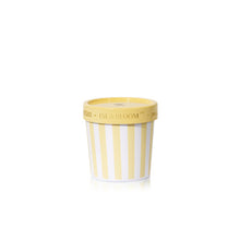 Load image into Gallery viewer, Isla Bloom Caffe Collection