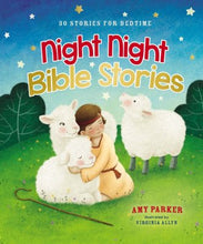 Load image into Gallery viewer, Night Night Bible Stories