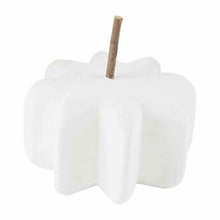 Load image into Gallery viewer, White Paulownia Pumpkins