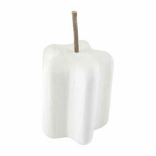 Load image into Gallery viewer, White Paulownia Pumpkins