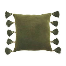 Load image into Gallery viewer, Velvet Tassel Pillows