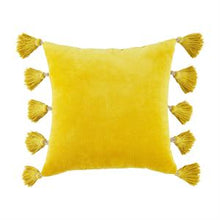 Load image into Gallery viewer, Velvet Tassel Pillows