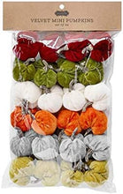 Load image into Gallery viewer, Mini Velvet Pumpkins Set