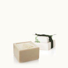 Load image into Gallery viewer, Frasier Fir Bar Soap & Dish Set