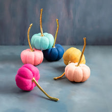 Load image into Gallery viewer, Rainbow Pumpkins