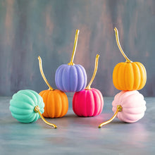 Load image into Gallery viewer, Rainbow Pumpkins