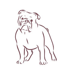 Load image into Gallery viewer, MAD Foam Cups