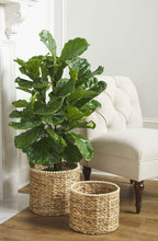 Load image into Gallery viewer, Mudpie Hyacinth Beaded Basket Sets