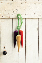 Load image into Gallery viewer, Velvet Carrots