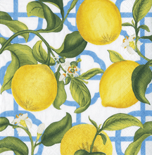 Load image into Gallery viewer, Caspari Spring Cocktail Napkins