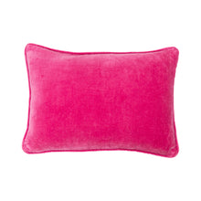 Load image into Gallery viewer, Laura Park Velvet Pillow