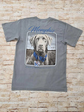 Load image into Gallery viewer, Speckle Bellies Memphis Lab Grey