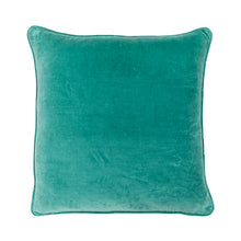 Load image into Gallery viewer, Laura Park Velvet Pillow