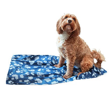 Load image into Gallery viewer, Dock and Bay Dog Towels

