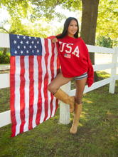 Load image into Gallery viewer, USA FLAG MOCKNECK

