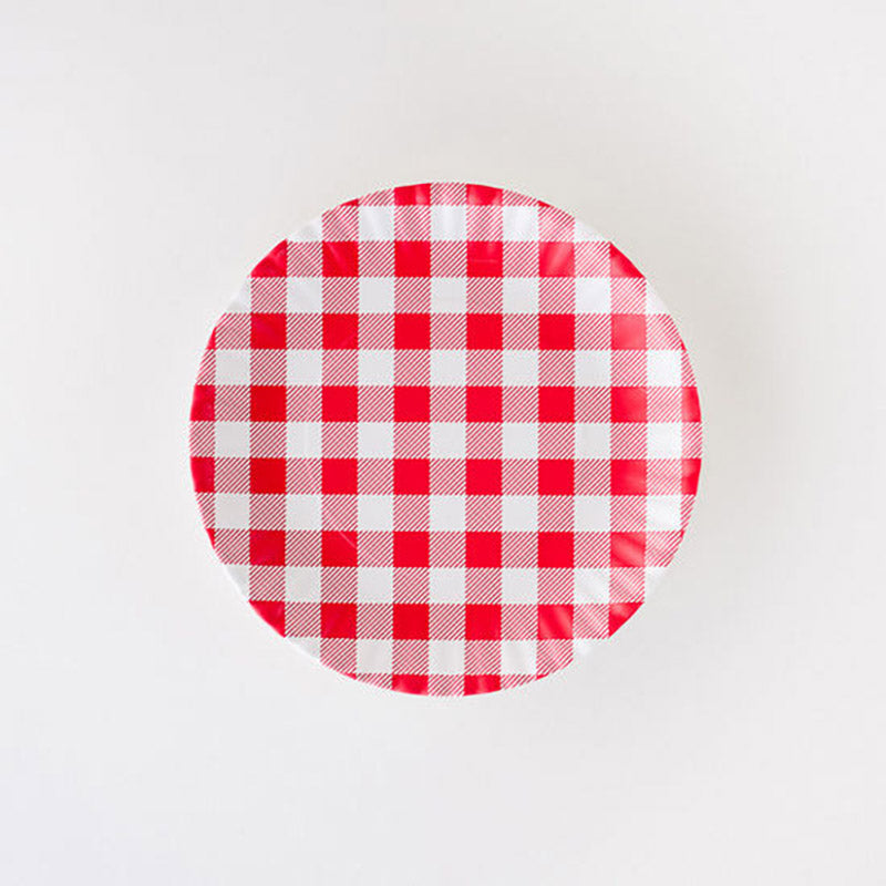 Red Gingham Plate