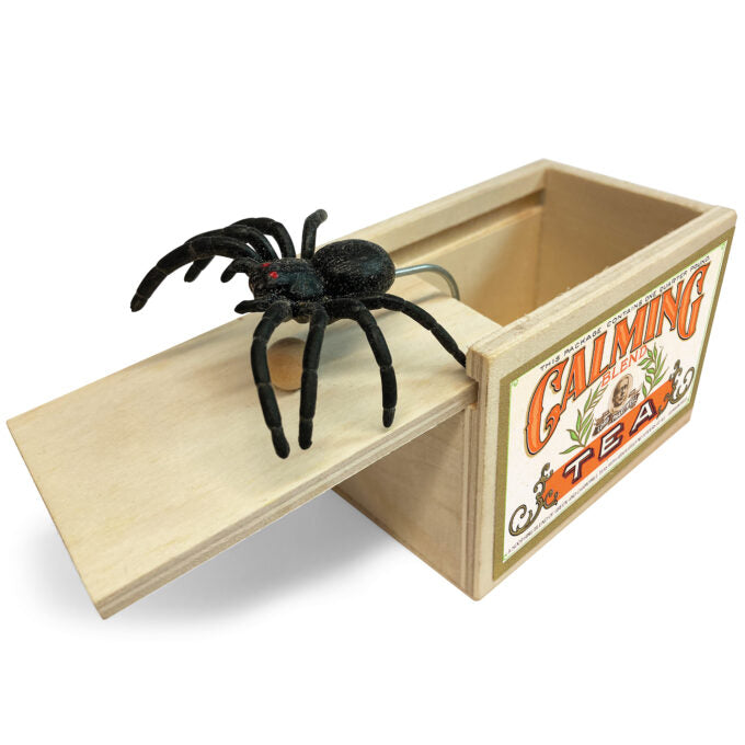 Surprise Spider