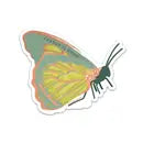 Load image into Gallery viewer, Ginger P. Designs Vinyl Stickers
