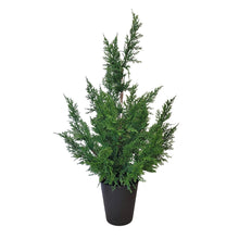 Load image into Gallery viewer, Fresh Touch Cedar Tree in Pot 29”
