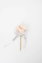 Load image into Gallery viewer, Petite Star Pennant
