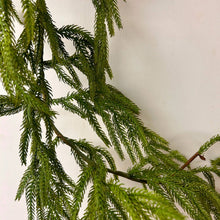 Load image into Gallery viewer, 58" Natural Touch Norfolk Pine Garland–Realistic Fresh Touch
