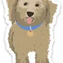 Load image into Gallery viewer, Ginger P. Designs Vinyl Stickers
