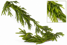 Load image into Gallery viewer, 58" Natural Touch Norfolk Pine Garland–Realistic Fresh Touch
