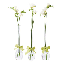 Load image into Gallery viewer, Sleek And Chic Teardrop Vase
