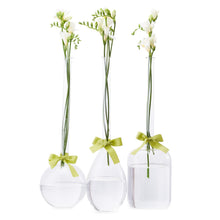 Load image into Gallery viewer, Sleek And Chic Vase Trio with Sage Green Ribbon
