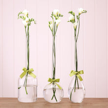 Load image into Gallery viewer, Sleek And Chic Vase Trio with Sage Green Ribbon
